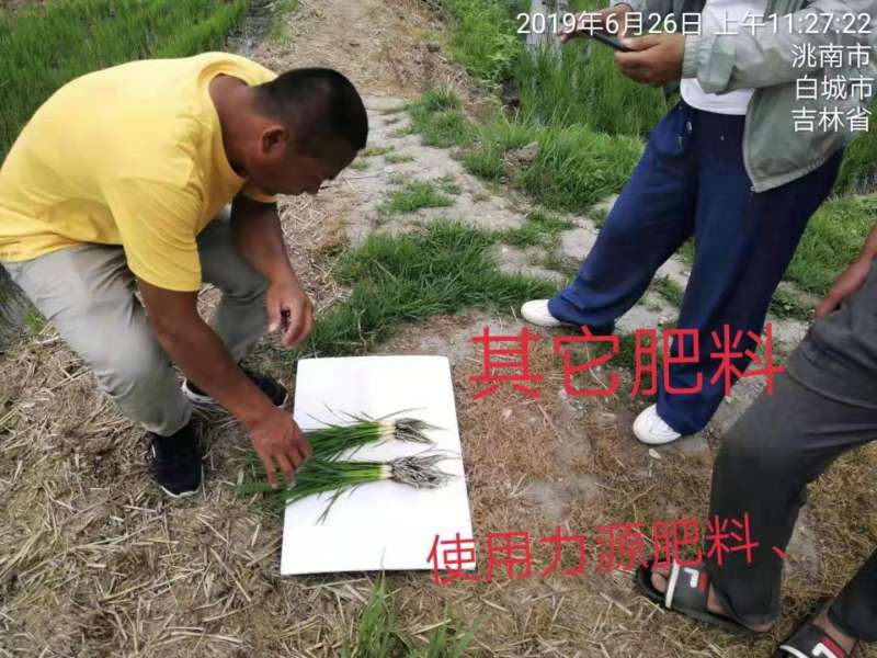 &#38886;&#24503;&#32593;&#31449;&#45;&#40;&#20013;&#22269;&#41;&#26377;&#38480;&#36131;&#20219;&#38886;&#24503;&#32593;&#31449;
